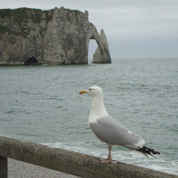fred70100 - homme bisexuel de 61 ans