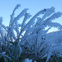 shortsnylon - homme bisexuel de 62 ans