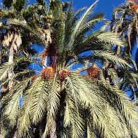 fifidu64 - homme bisexuel de 56 ans