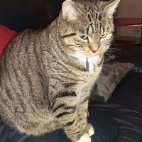 silvette - lesbienne de 60 ans