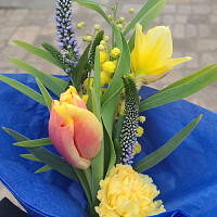 femboy333 - homme bisexuel de 43 ans