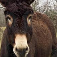 blackjeune97 - homme bisexuel de 29 ans