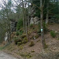 ricky8854 - homme bisexuel de 62 ans