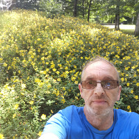 robert26 - homme hétéro curieux de 62 ans