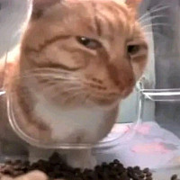 ririi - gay de 21 ans