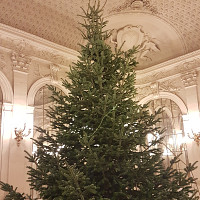 cijavaisu - gay de 42 ans