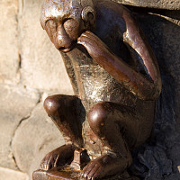 tomtomgo - gay de 43 ans