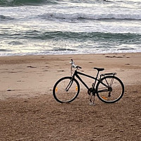 fenno - gay de 52 ans