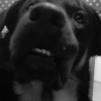 nouscool - homme bisexuel de 49 ans