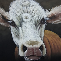 gaeltelmon - homme bisexuel de 20 ans