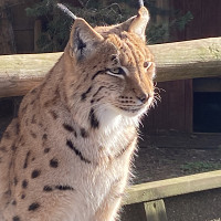 jsorel - homme bisexuel de 52 ans