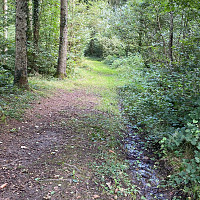 cervantes66 - gay de 60 ans