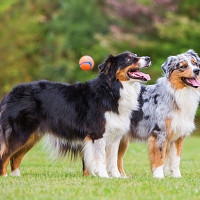 amusemoi64 - homme bisexuel de 57 ans