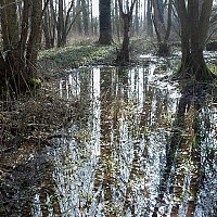 olivermacleod - gay de 50 ans