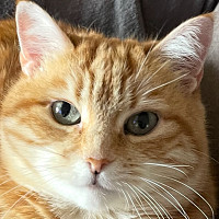 cbr.rrr.sp - gay de 63 ans