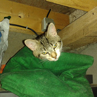 billy58 - homme bisexuel de 59 ans