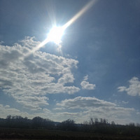 messieurs - homme bisexuel de 56 ans