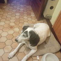 clems6 - homme bisexuel de 30 ans