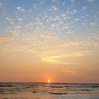 thommyy - homme bisexuel de 35 ans