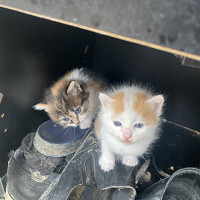 biact84 - gay de 38 ans