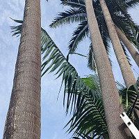 jeannot974 - gay de 63 ans