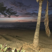 mickael833 - gay de 34 ans