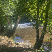 recherchebi - homme bisexuel de 51 ans