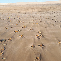 narcisse39 - homme bisexuel de 57 ans