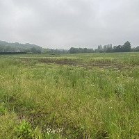 lilou_7426 - gay de 19 ans