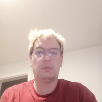 celib53 - homme bisexuel de 33 ans