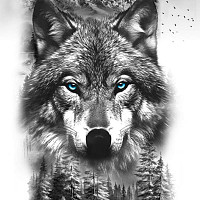 cestmoi64 - gay de 57 ans