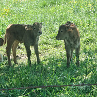 selfy - homme bisexuel de 64 ans