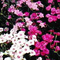 arthur000 - gay de 64 ans