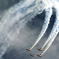 franck.88 - homme bisexuel de 56 ans