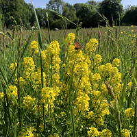 autoreverse69 - homme bisexuel de 38 ans