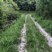 submiss46 - gay de 43 ans