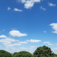 raie - homme bisexuel de 56 ans