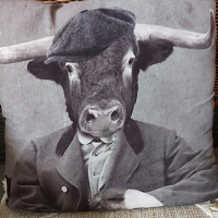 mimich63 - homme bisexuel de 63 ans