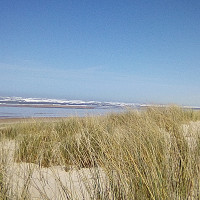 plage17nat - homme bisexuel de 55 ans