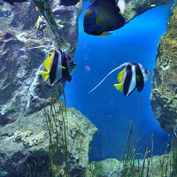 antho27000 - homme bisexuel de 36 ans