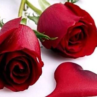 fatimed - gay de 62 ans