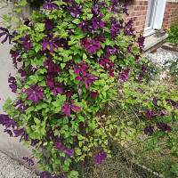 onatousbedoinaimer - gay de 58 ans