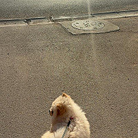 islmm - homme bisexuel de 25 ans