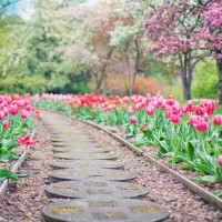 pops08 - homme bisexuel de 56 ans