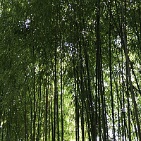 normand27 - gay de 26 ans