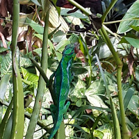 dave974 - homme bisexuel de 54 ans