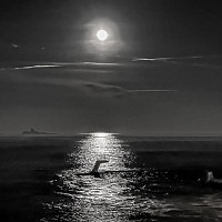 nenech19 - homme bisexuel de 48 ans