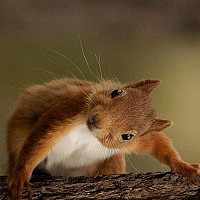 phen40 - homme bisexuel de 59 ans