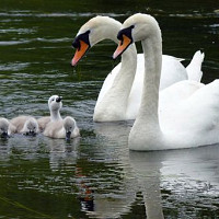 blue-art - gay de 65 ans