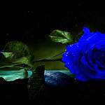 blue-art